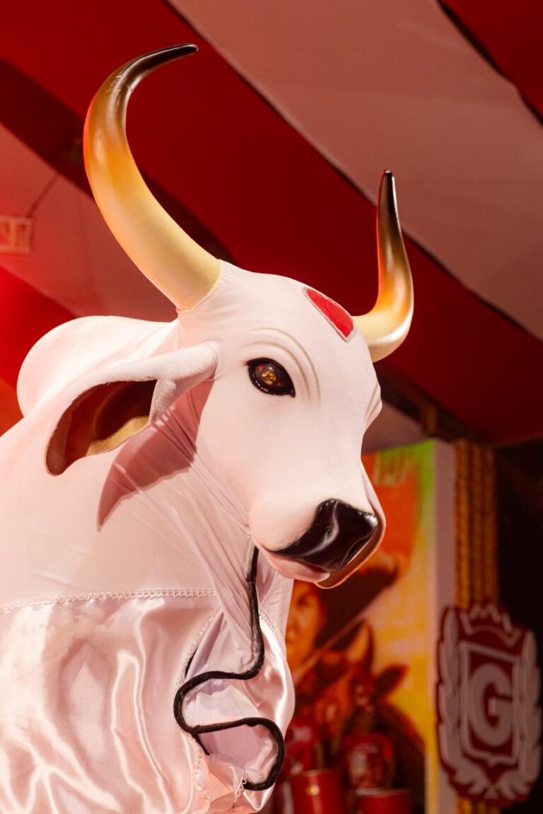 WhatsApp Image 2025-12-28 at 12.24