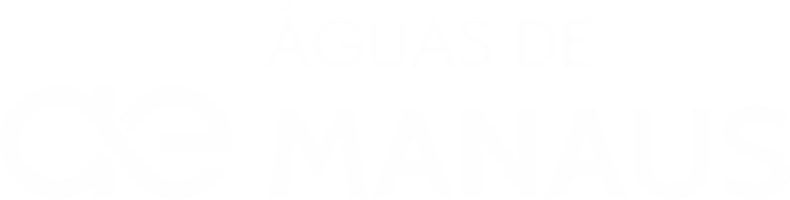 AGUAS DE MANAUS