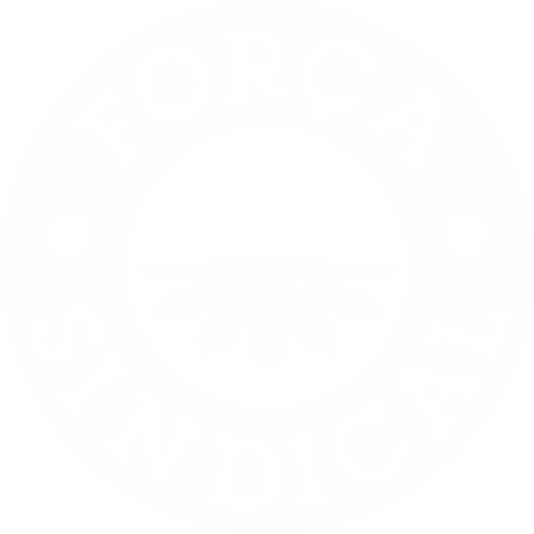 FORÇA SINDICAL